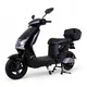 Electric Scooter W-TEC Raike 10” - Black-Silver - Black-Silver