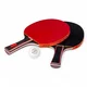 Table Tennis Set inSPORTline Ekholm – Net, 2 Paddles, 4 Balls