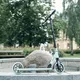 Scooter inSPORTline Wayomint