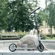 Scooter inSPORTline Wayotan