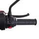 Four-Wheel Electric Scooter w/ Tow Bar & Trailer inSPORTline Antun - Red