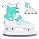2-in-1 Skates/Inline skates inSPORTline Mintero
