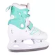 2-in-1 Skates/Inline skates inSPORTline Mintero