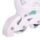 2-in-1 Skates/Inline skates inSPORTline Mintero