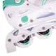 2-in-1 Skates/Inline skates inSPORTline Mintero