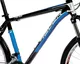 Mountain bike 4EVER FEVER Disc 2011 - Blue