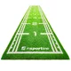 Synthetic Grass Mat inSPORTline Graspet 10.2 x 2 m