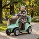Electric Four-Wheel Scooter inSPORTline Lubica II - Grey