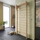 Wall Bars inSPORTline Shapemar 220 x 90 cm