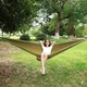 Double Hammock inSPORTline Logtoo