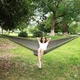 Hammock inSPORTline Logone