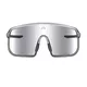 Photochromic Sunglasses Altalist Kaku SP2 - Crystal Grey with Gold Lenses