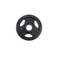 Cast Iron Olympic Weight Plate inSPORTline Hamerton Black 5 kg, 50 mm