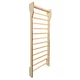 Wall Bars inSPORTline Shapemar 220 x 90 cm