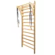 Gymnastic Rings for Wall Bars inSPORTline Ringora