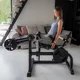 Leg Extension/Curl Machine inSPORTline X-NT LE20