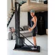 Cross-Country Ski Trainer inSPORTline Velocer SKI
