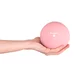 Yoga Ball inSPORTline 1 kg