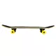 Skateboard WORKER Psypunk 31"
