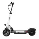 E-Scooter W-TEC Tendeal 700W 10” - White