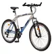 MTB bike DHS Adventure 2665 - model 2011
