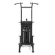 Multifunctional Pull-Up Bar inSPORTline Velocer CD85