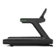 Treadmill inSPORTline Velocer Run
