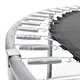Replacement Jumping Mat for Trampoline inSPORTline Irbiso 305 cm