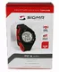 Sport Tester SIGMA PC 9 MAN