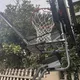 Basketball Ball Return Net inSPORTline Havaster