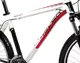 Mountain bike 4EVER RED-HOT Disc 2011 - White