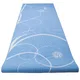 Aerobic Gym Mat Spartan Yoga 170x60x0,4 cm - Blue