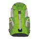 Bag Husky Spring 12L - Green