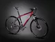 Cross bike 4EVER Therapy DISC 2011