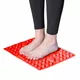 Foot Massage Mat inSPORTline Tilsipur 39 x 29 cm - Blue - Red