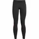 Women’s Leggings Under Armour Favorite WM - Jet Gray