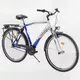 Men's bike DHS Downtown Leisure 2855 - model 2011 - Blue-Silver