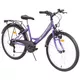 Junior bike DHS 2414 Cityline 24" - Purple