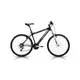 Mountain bike ALPINA ECO M20 - Black-Grey