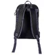 Picnic Thermo Backpack inSPORTline Svapet 2-person