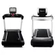 Treadmill Intenza 550Te