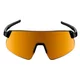 Sports Sunglasses Altalist Hayate R2 - černá se zlatými skly