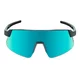 Photochromic Sports Sunglasses Altalist Hayate - černá se zlatými skly