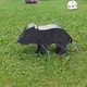 2D Piglet-Shaped Archery Target YATE LDX 21 cm