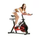 inSPORTline Delta Indoor cycling Bike