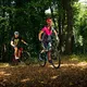 Women’s Mountain Bike Devron Riddle Lady 1.9 29” – 2019 - Blue
