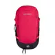 Backpack MAMMUT Lithium Speed 20 - Dragon Fruit Black
