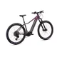 Mountain E-Bike Crussis e-Fionna 10.11 715Wh 29” – 2026