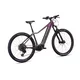 Mountain E-Bike Crussis e-Fionna 10.11 894Wh 29” – 2026