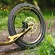 Kick Scooter Crussis Cross 9.2-1 Gold-Black 27.5/20”